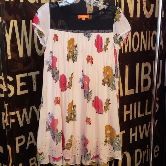 Pretty In Pink Floral Sheer Dress Round Neckline - Picture 1 of 2